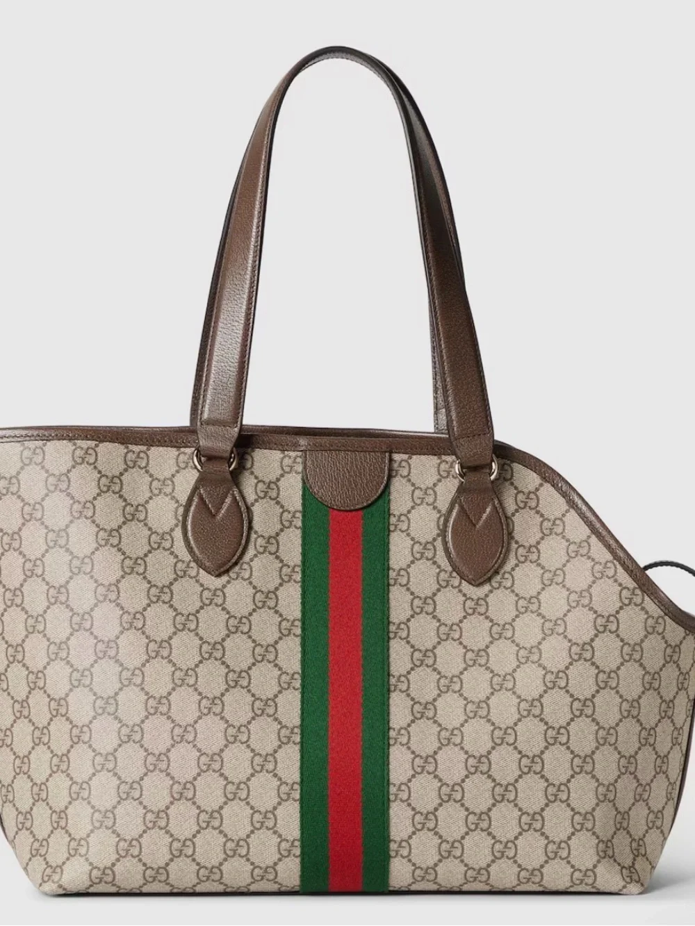 Beige pet carrier with Green and Red Web Stripe